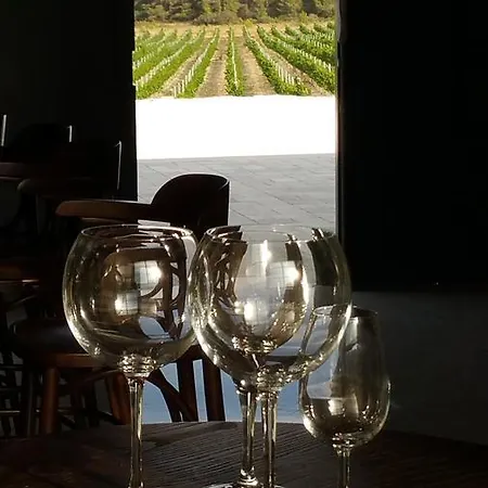 Bed & Breakfast D'hotes De Saint-obre